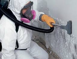 Trenton, GA Mold Removal Company